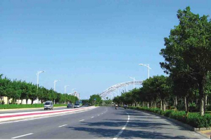 崇左道路绿化