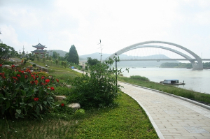 南宁城市绿化