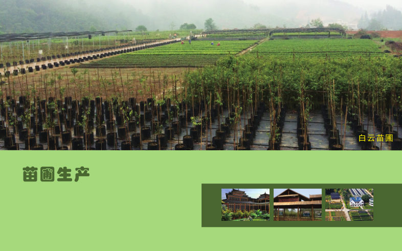 苗圃生产.jpg