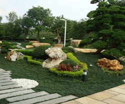 中央公园景观绿化