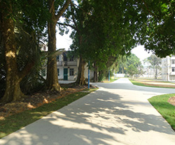 热林中心大院松降旧路改造道路