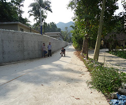 热林中心松降道路、排水沟、围墙工程