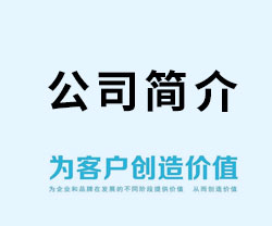 公司简介
