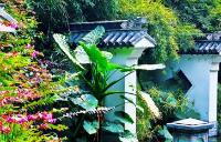 梧州市园林系统举行首届园林绿化养护技能竞赛